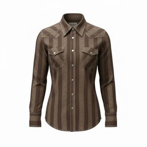 Arizona brown western button down, small